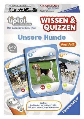 Wissen & Quizzen