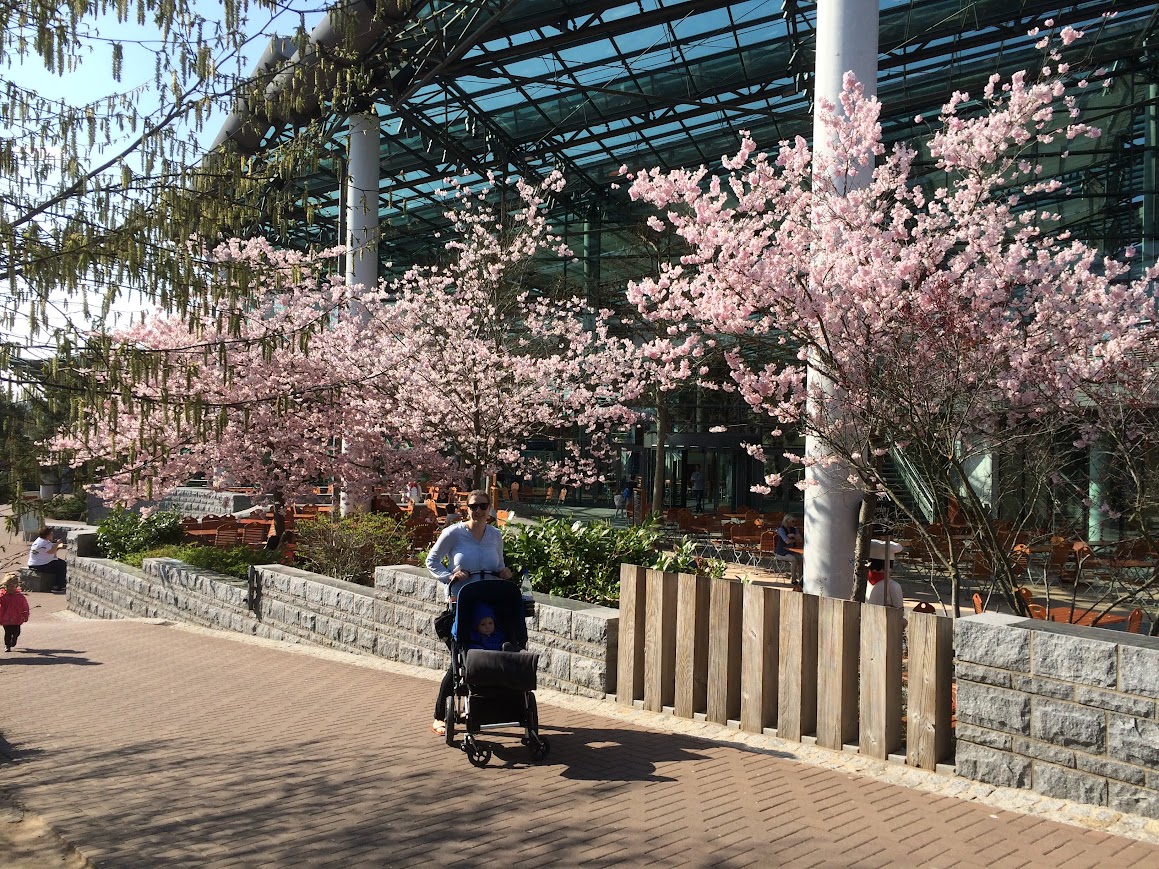 Frühling