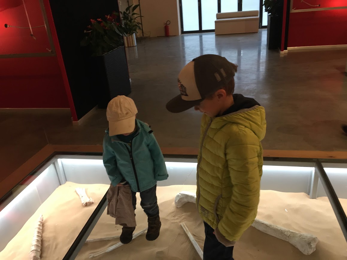 Dinosaurier Museum Altmühltal